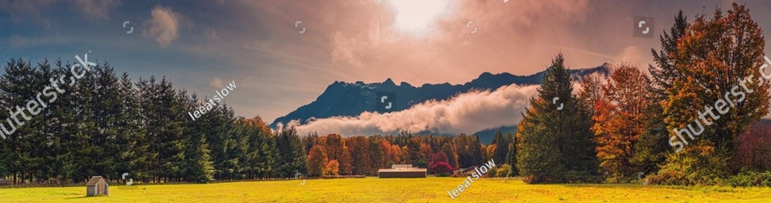 Evening light over a Pacific Northwest meadow, evergreens and a distant mountain
